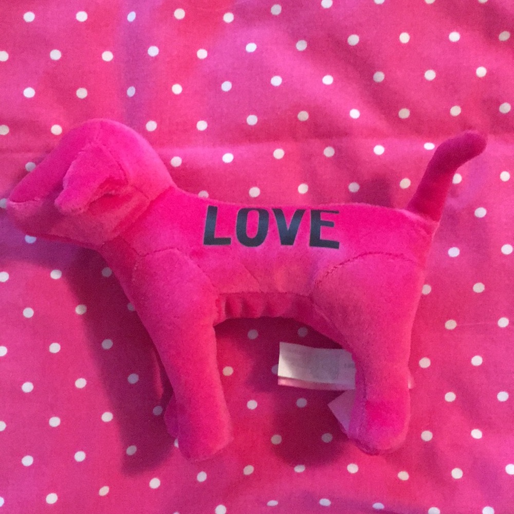 Pink Dog! 🐕